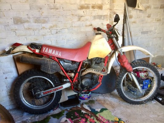 TT600.JPG