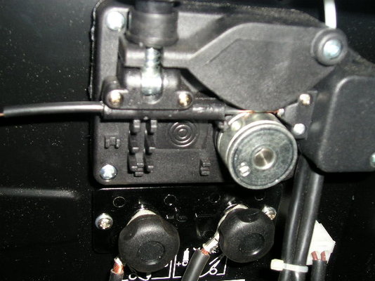P9020001.JPG