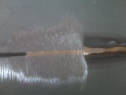 root partially ground.jpg