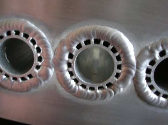 P3290072 (800 x 600).jpg