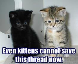 kittenssave.jpg
