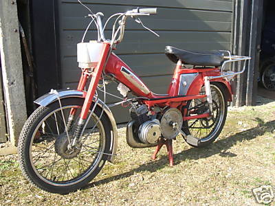 5490_1.jpg