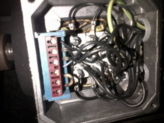 IMG-20140604-00093.jpg