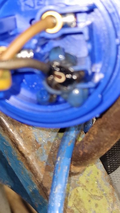 20230702_223656.jpg