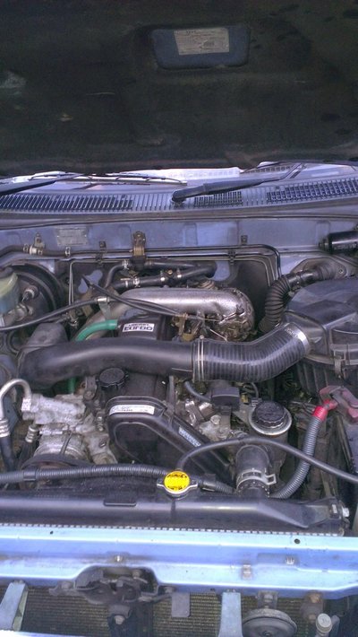 IMAG0470.jpg