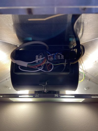 IMG_8751.jpeg IMG_8751.jpeg