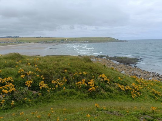 IMG20230723113726.jpg