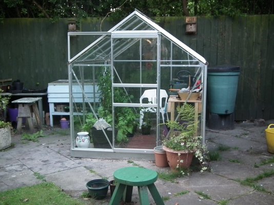 gazebo sheds aug 14 006.JPG