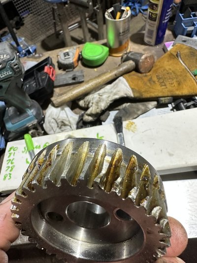 IMG_1117.jpeg IMG_1117.jpeg