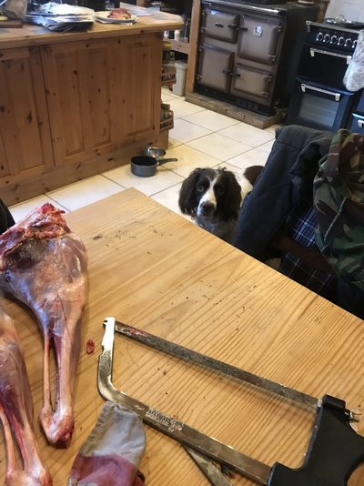 IMG_0477.jpeg