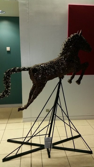 20150305_202910.jpg