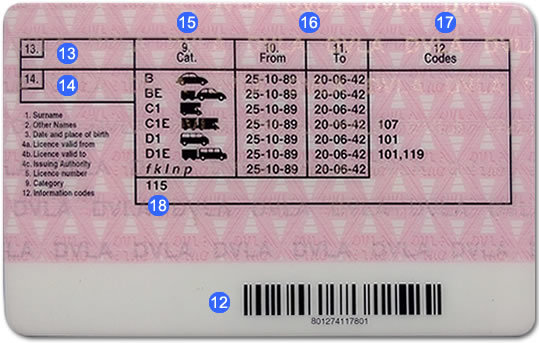 driving-licence-back-explained.jpg