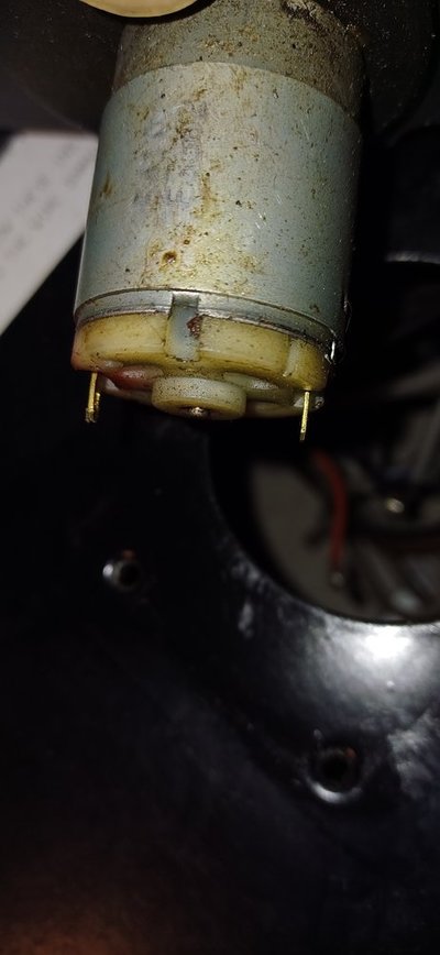 20240215_145153.jpg
