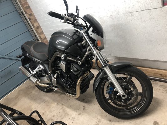 IMG_5323.jpeg IMG_5323.jpeg