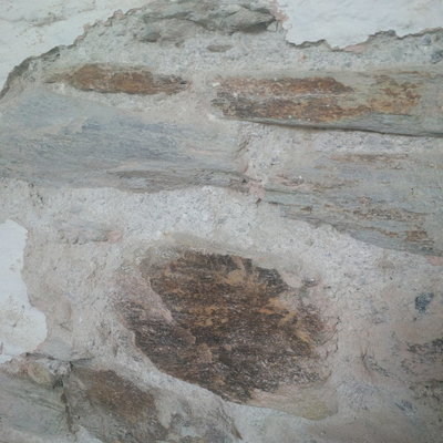 IMG_20240311_135047.jpg IMG_20240311_135047.jpg