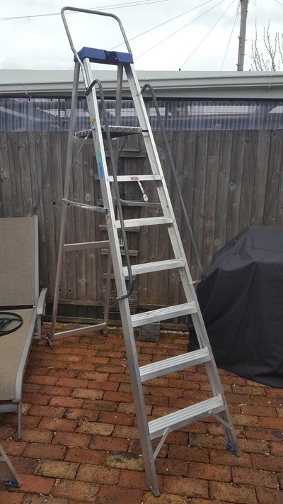 ladders4.jpg