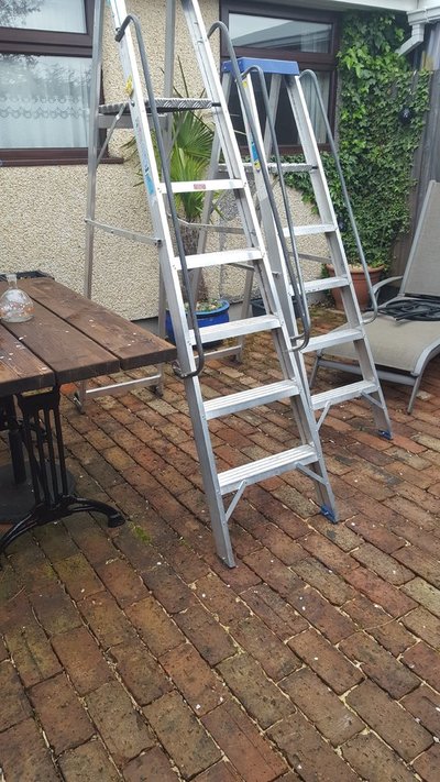 ladders5.jpg