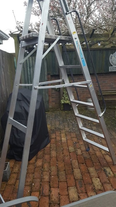 ladders1.jpg