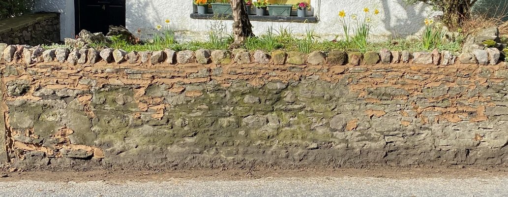 image1.jpg