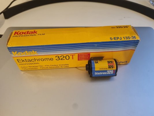 20240408_185424.jpg