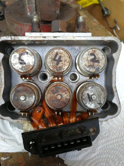 IMG_20240411_153254.jpg IMG_20240411_153254.jpg