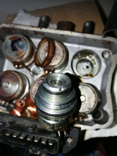 IMG_20240412_222302.jpg IMG_20240412_222302.jpg