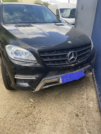 IMG_0612 reg.jpg IMG_0612 reg.jpg