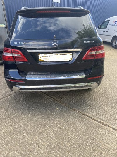 IMG_0611 reg.jpg IMG_0611 reg.jpg