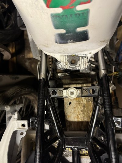 IMG_1743.jpeg IMG_1743.jpeg