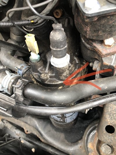 IMG_5845.jpeg IMG_5845.jpeg