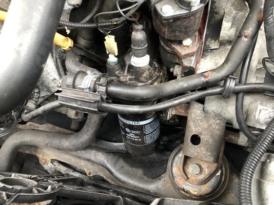 IMG_5846.jpeg IMG_5846.jpeg