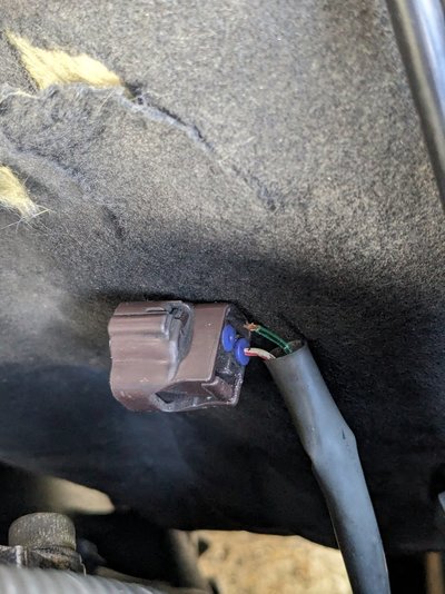 PXL_20240611_110127075.jpg PXL_20240611_110127075.jpg