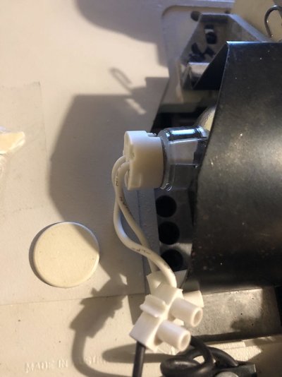 bulb.jpg