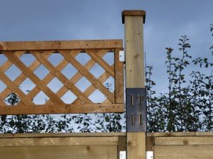 Adding-trellis-to-a-fence-2-300x224.jpg