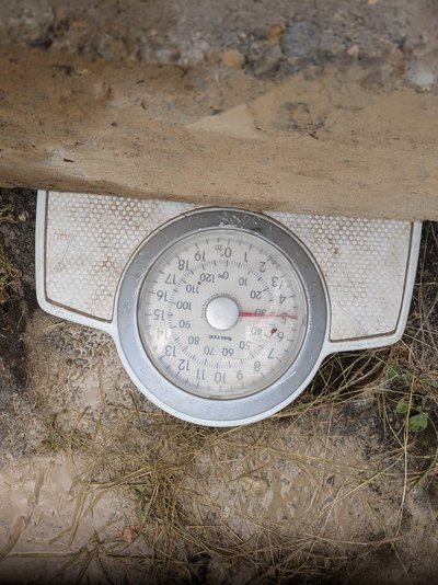 PXL_20240630_114036403.jpg