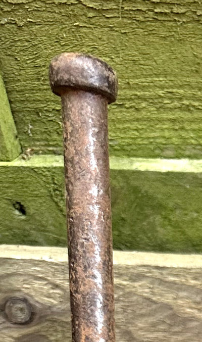 IMG_1182.jpeg IMG_1182.jpeg