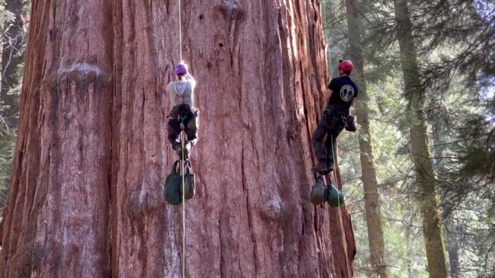 SEKI_GeneralShermanInspection_Climbing_01_E0383_web-1140x641.jpg