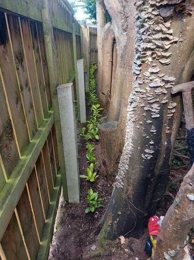 20220806_174107.jpg 20220806_174107.jpg