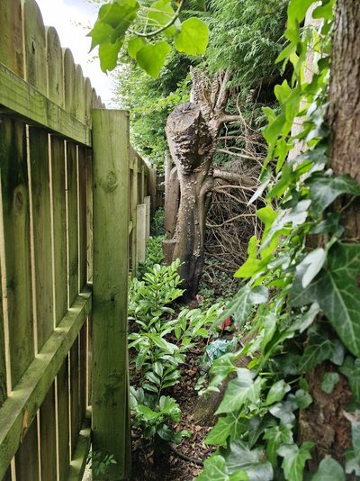 20240729_094510.jpg 20240729_094510.jpg