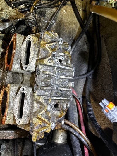 IMG_8765.jpeg IMG_8765.jpeg