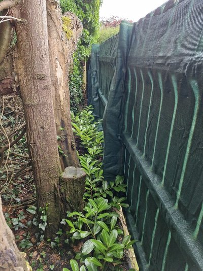 20240805_185050.jpg 20240805_185050.jpg