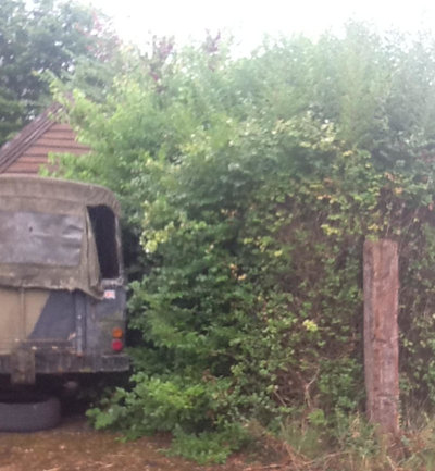 landy-2024.jpeg