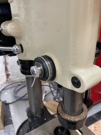 IMG_5791.jpeg IMG_5791.jpeg