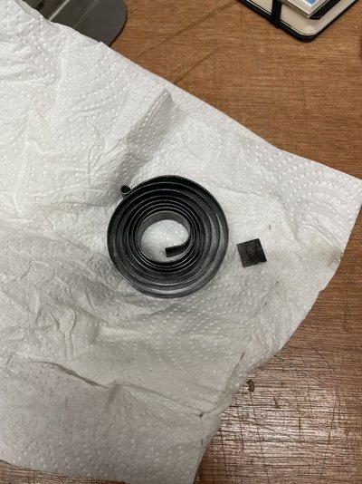 IMG_5793.jpeg IMG_5793.jpeg