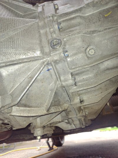 IMG_20240817_162447714.jpg IMG_20240817_162447714.jpg