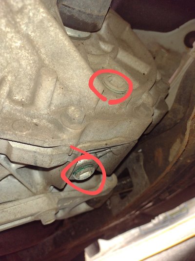 IMG_20240817_152831319~2.jpg IMG_20240817_152831319~2.jpg