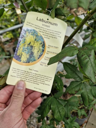 20240817_090228.jpg 20240817_090228.jpg