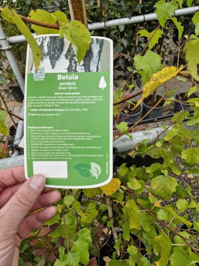 20240817_090131.jpg 20240817_090131.jpg