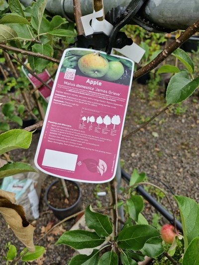 20240817_090034.jpg 20240817_090034.jpg