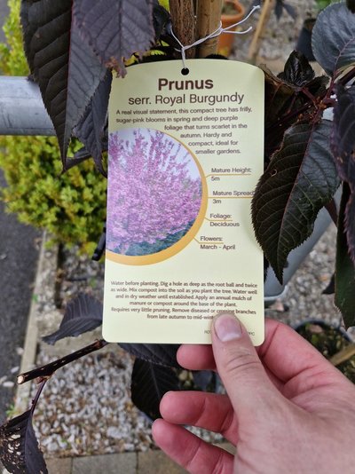 20240817_085701.jpg 20240817_085701.jpg